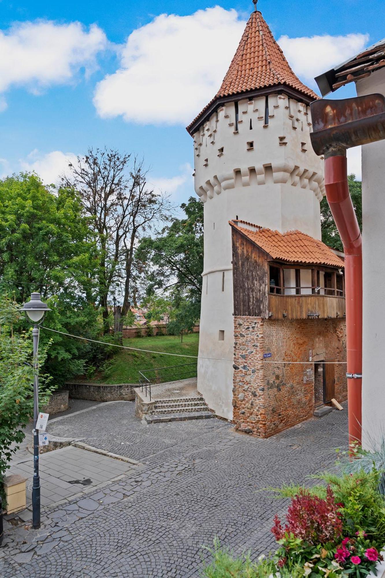 Gela'S Terrace Apartment Sibiu Dış mekan fotoğraf
